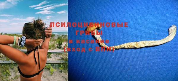 ГАЛЛЮЦИНОГЕННЫЕ ГРИБЫ Липки