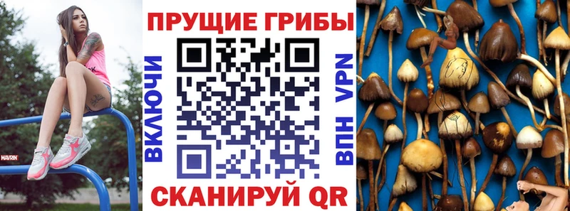 Галлюциногенные грибы мухоморы  Курлово 
